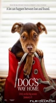 A Dogs Way Home (2019) Hindi Dubbed