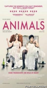 Animals (2019) English Movie