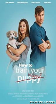 How To Train Your Husband (2017) Hindi Dubbed