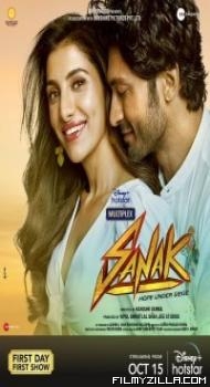 Sanak (2021) Hindi Movie