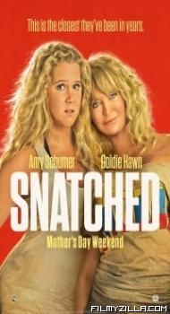 Snatched (2017) Dual Audio Hindi Dubbed